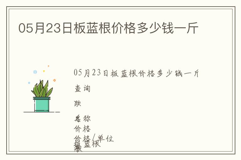 05月23日板藍根價格多少錢一斤