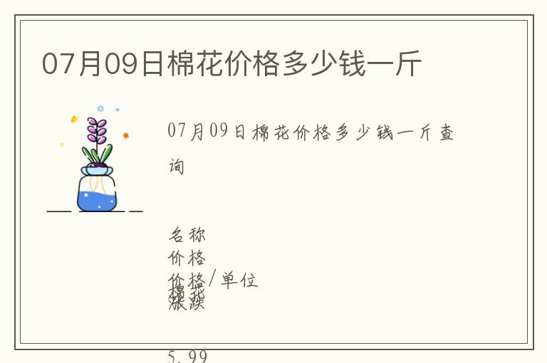 07月09日棉花價格多少錢一斤