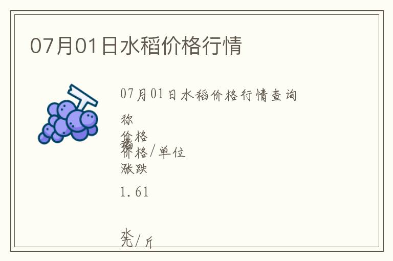 07月01日水稻價格行情