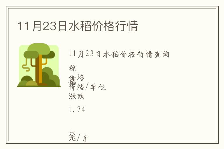 11月23日水稻價格行情