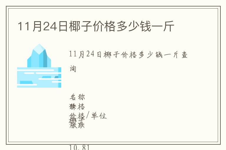 11月24日椰子價格多少錢一斤