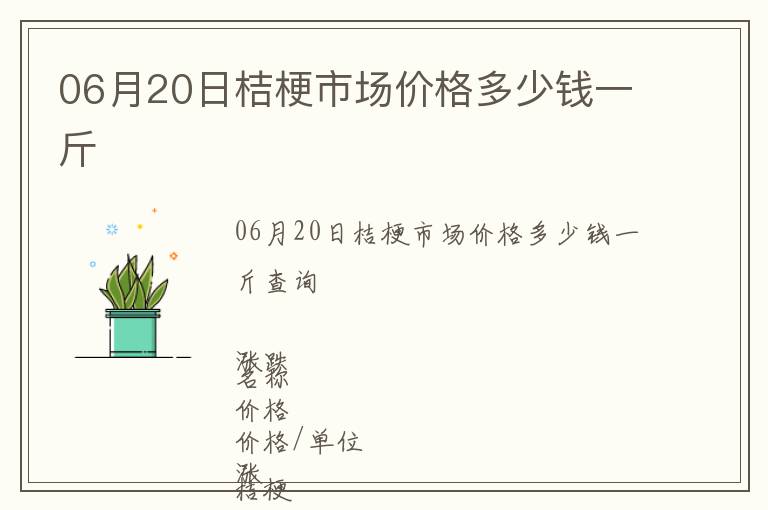 06月20日桔梗市場價格多少錢一斤