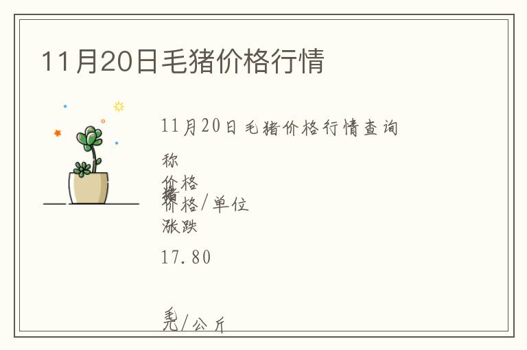 11月20日毛豬價格行情
