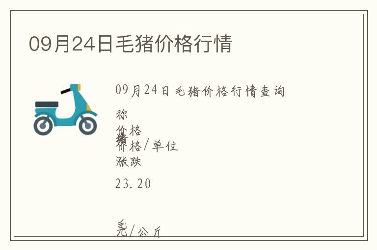 09月24日毛豬價格行情