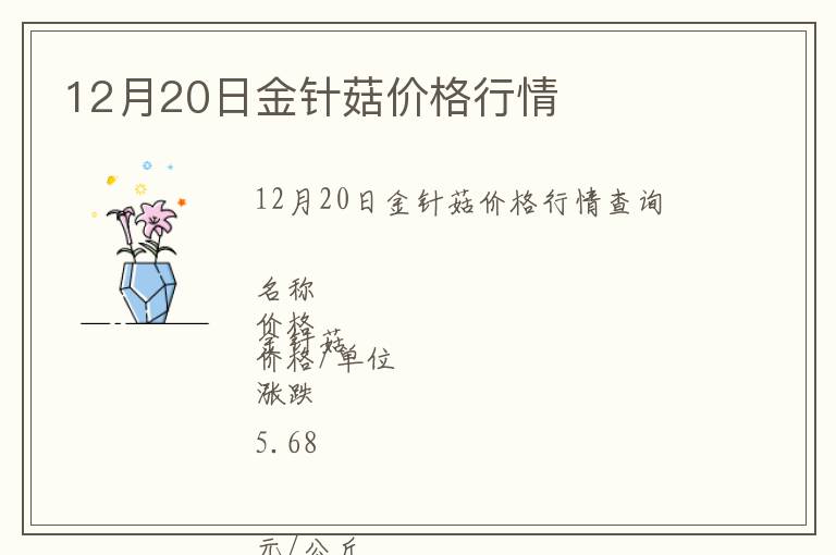 12月20日金針菇價格行情