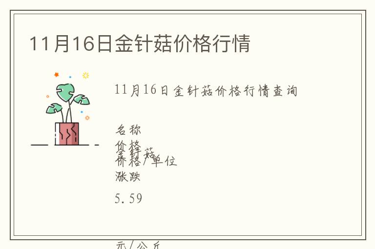 11月16日金針菇價格行情