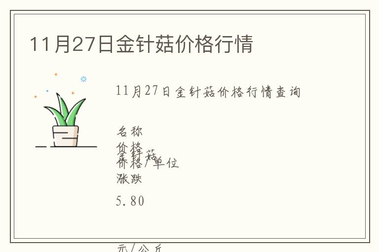 11月27日金針菇價格行情