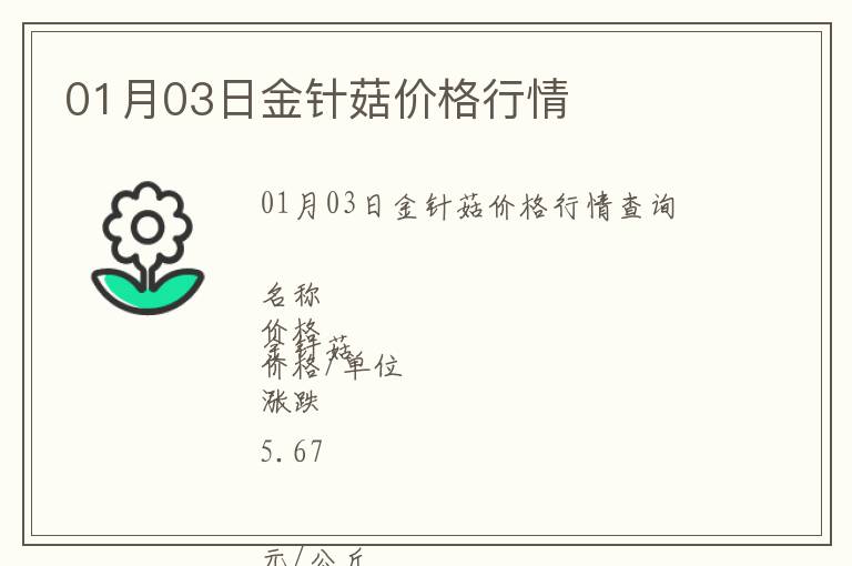 01月03日金針菇價格行情