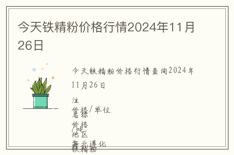 今天鐵精粉價格行情2024年11月26日