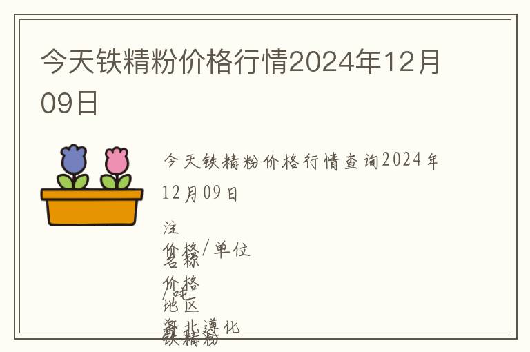 今天鐵精粉價格行情2024年12月09日