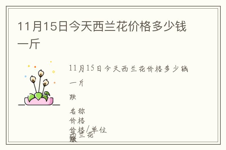 11月15日今天西蘭花價(jià)格多少錢一斤