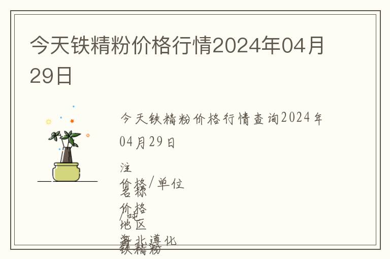 今天鐵精粉價格行情2024年04月29日