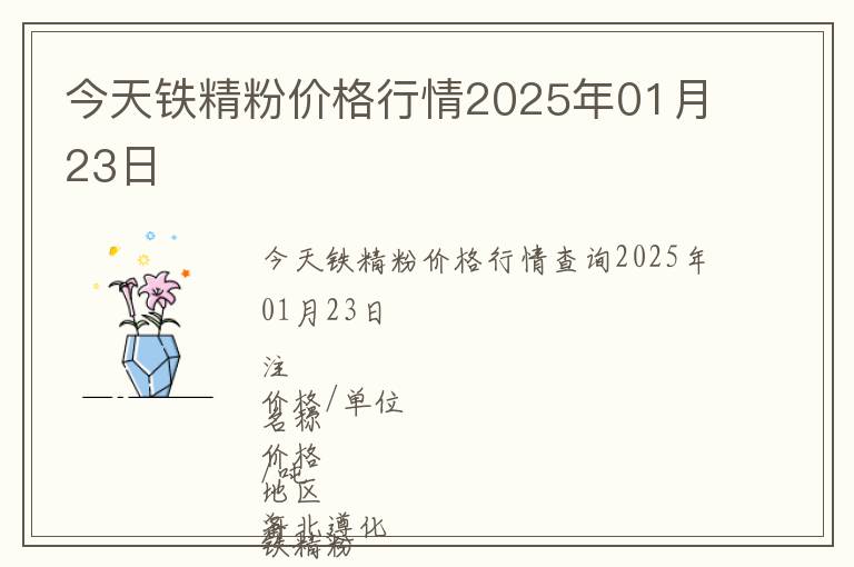 今天鐵精粉價(jià)格行情2025年01月23日