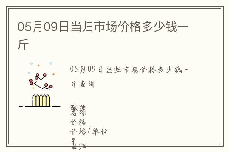 05月09日當歸市場價格多少錢一斤