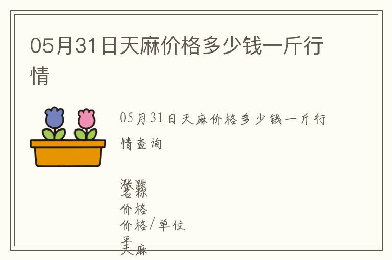 05月31日天麻價格多少錢一斤行情