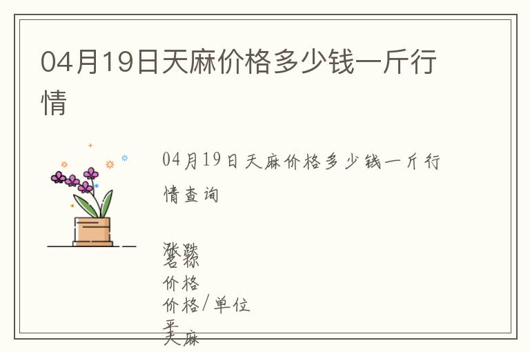 04月19日天麻價格多少錢一斤行情