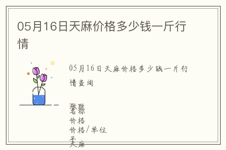 05月16日天麻價格多少錢一斤行情