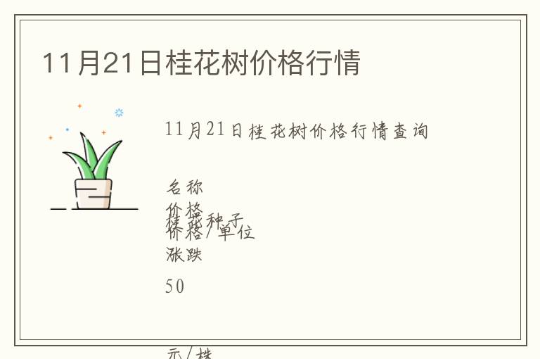 11月21日桂花樹價格行情