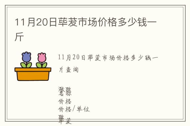 11月20日蓽茇市場價格多少錢一斤