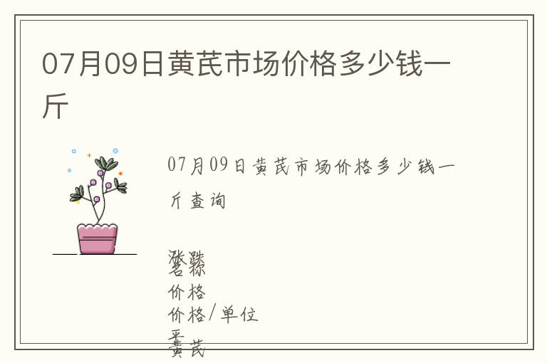07月09日黃芪市場價格多少錢一斤