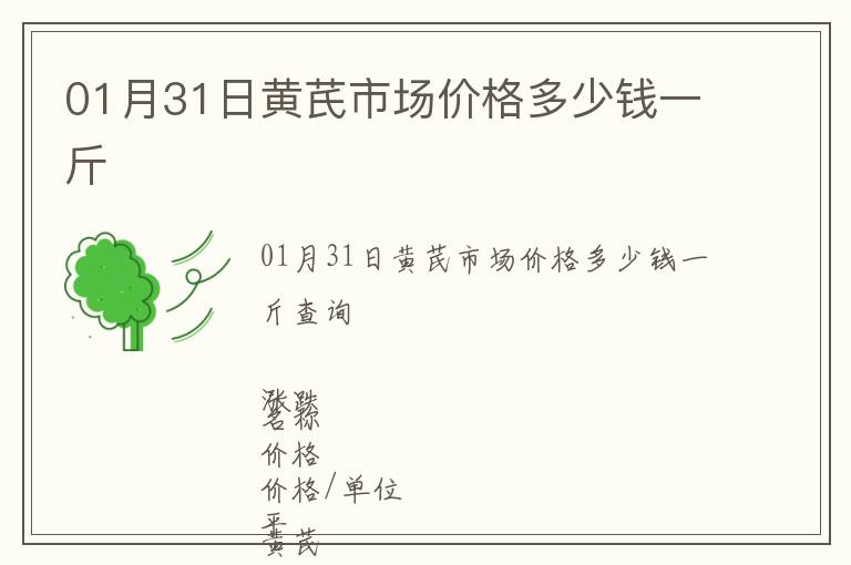 01月31日黃芪市場(chǎng)價(jià)格多少錢一斤