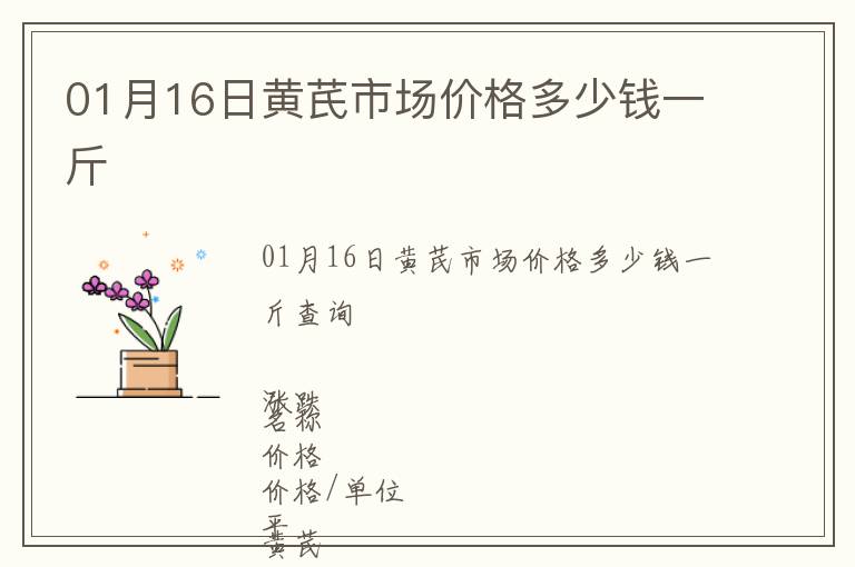 01月16日黃芪市場價格多少錢一斤