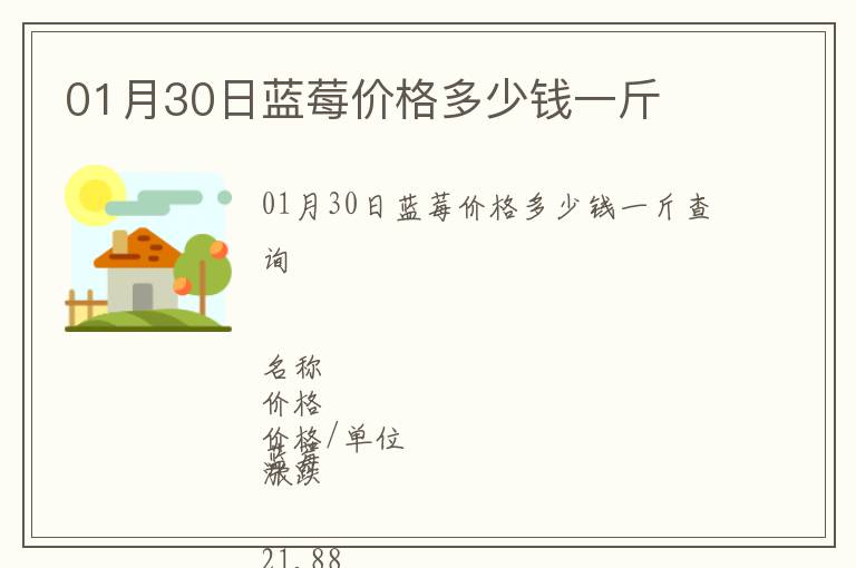 01月30日藍莓價格多少錢一斤