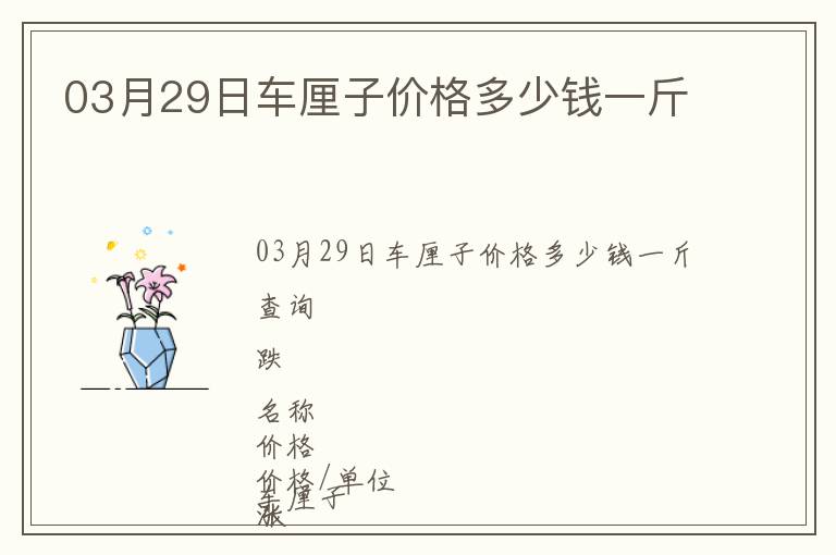 03月29日車厘子價格多少錢一斤