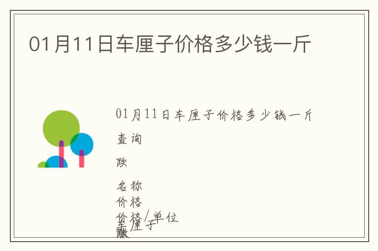 01月11日車厘子價格多少錢一斤