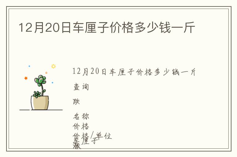 12月20日車厘子價格多少錢一斤