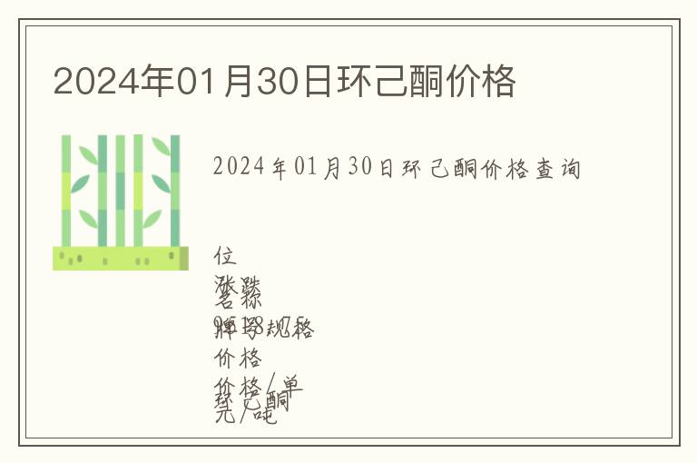 2024年01月30日環己酮價格
