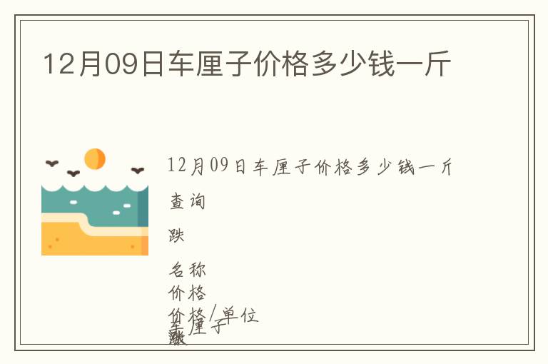 12月09日車?yán)遄觾r格多少錢一斤