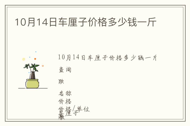 10月14日車厘子價格多少錢一斤