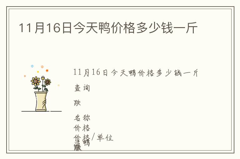 11月16日今天鴨價(jià)格多少錢一斤