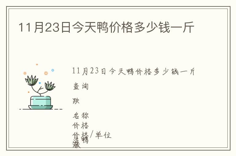 11月23日今天鴨價格多少錢一斤