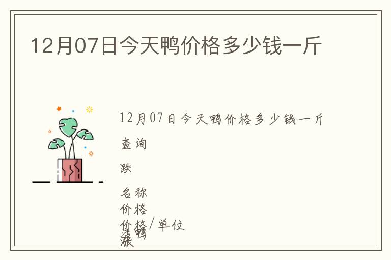 12月07日今天鴨價格多少錢一斤