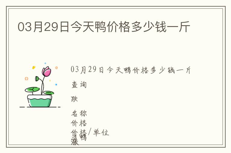 03月29日今天鴨價格多少錢一斤