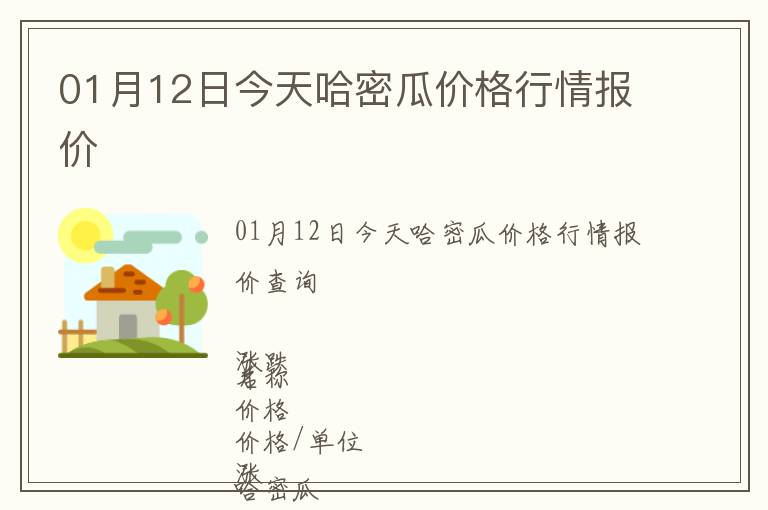 01月12日今天哈密瓜價格行情報價