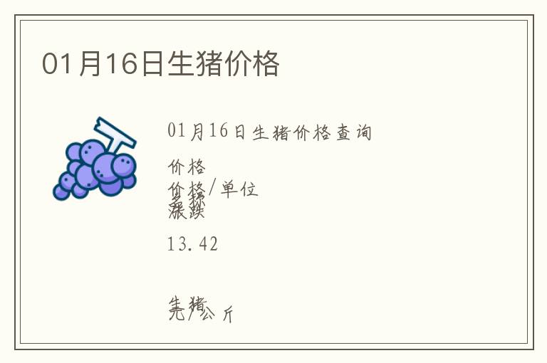 01月16日生豬價格