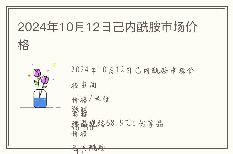 2024年10月12日己內酰胺市場價格