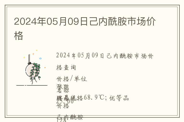 2024年05月09日己內(nèi)酰胺市場價格