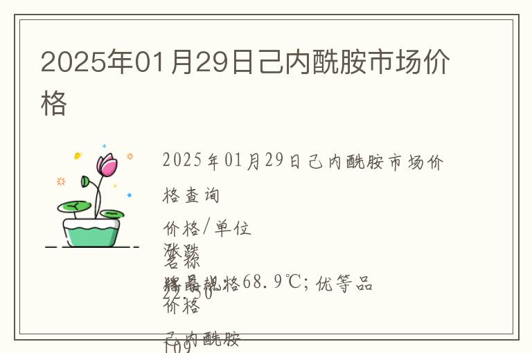 2025年01月29日己內(nèi)酰胺市場價格