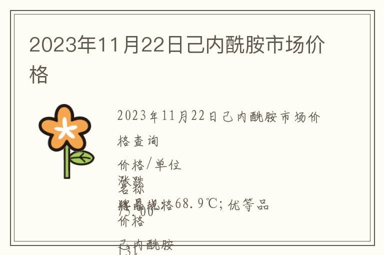 2023年11月22日己內酰胺市場價格
