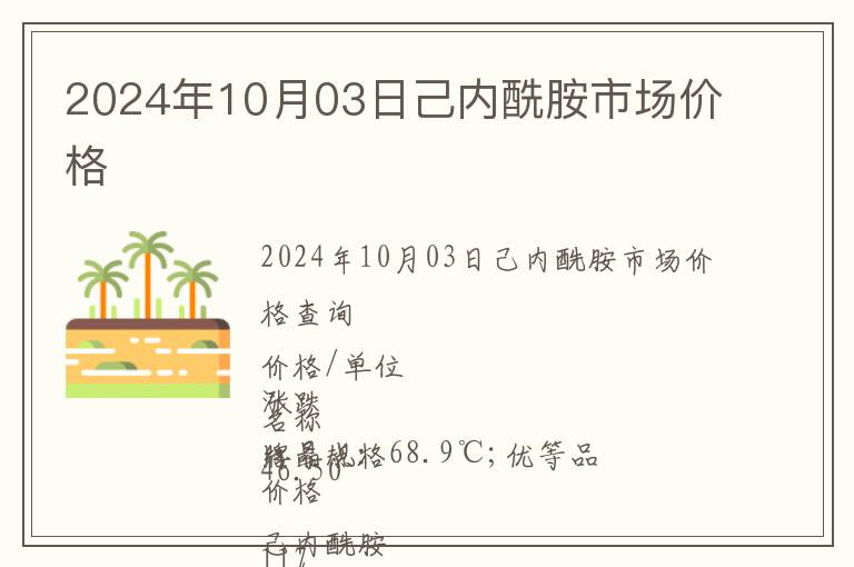2024年10月03日己內(nèi)酰胺市場價格