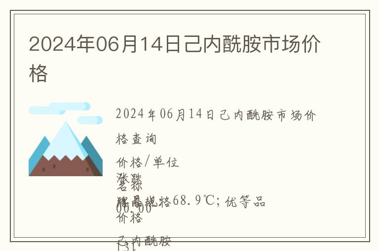 2024年06月14日己內(nèi)酰胺市場價格
