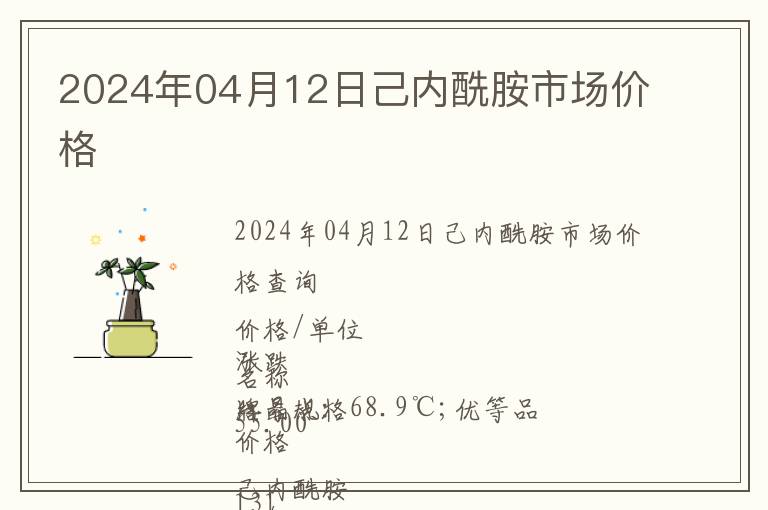 2024年04月12日己內(nèi)酰胺市場(chǎng)價(jià)格
