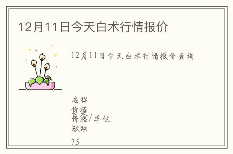 12月11日今天白術行情報價