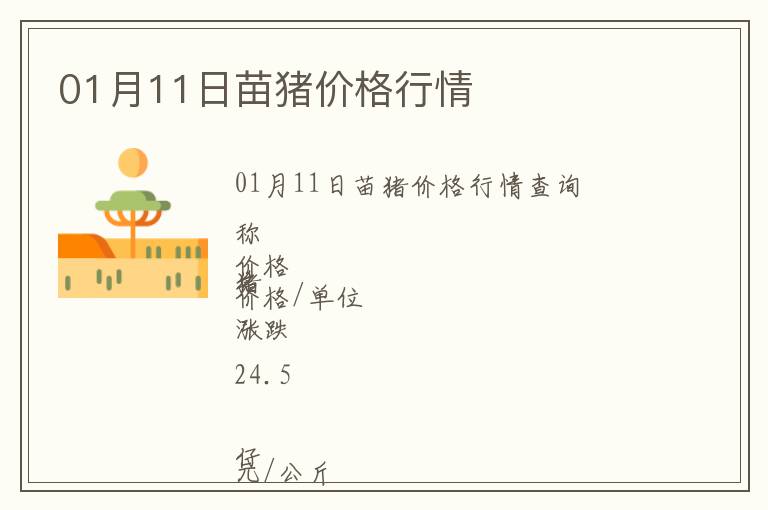 01月11日苗豬價格行情
