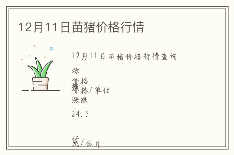 12月11日苗豬價格行情